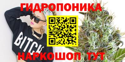 сатива Изобильный