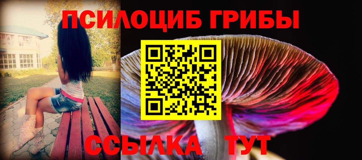Галлюциногенные грибы Psilocybe  Вход с VPN  Ликино-Дулёво 